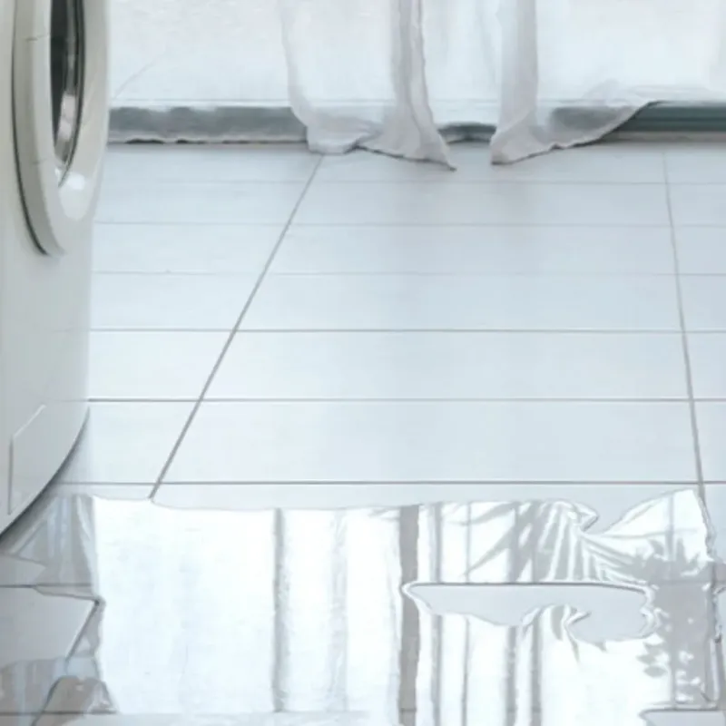 Appliance Leak Cleanup in Port Huron, MI